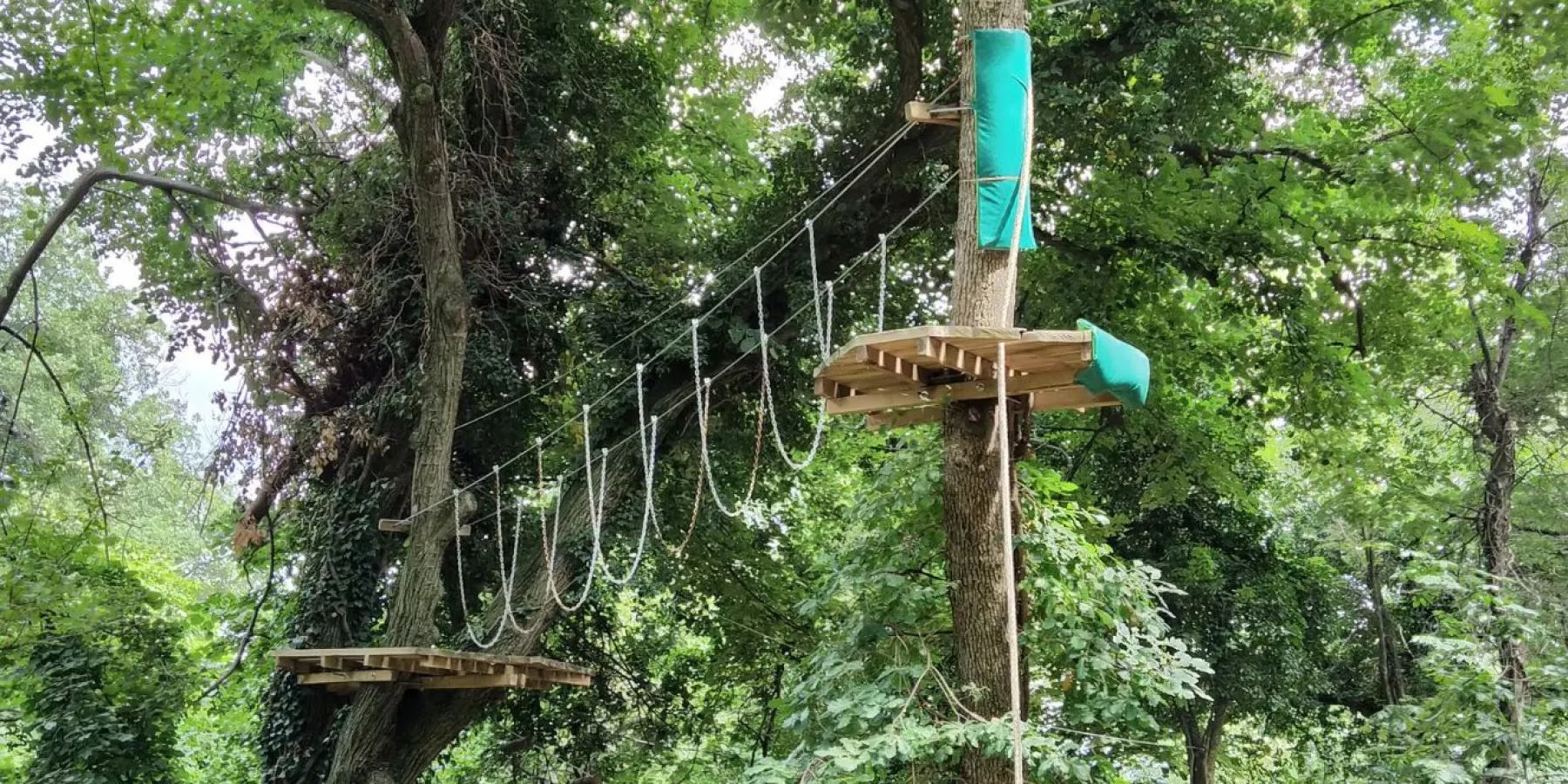 Go Ape. Sundown Dusk Adventure, photo 1 of 2