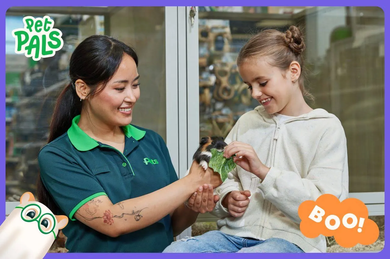 Pet Pals, photo 2 of 2