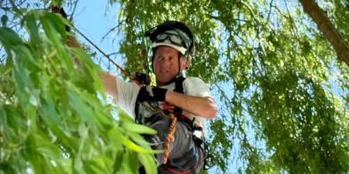 Discounts at ArborTek