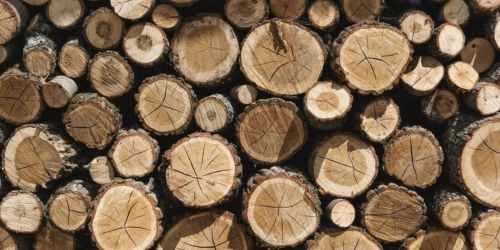 Discounts at Medway Logs